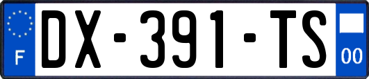 DX-391-TS