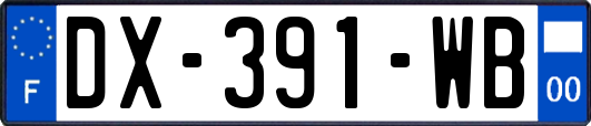 DX-391-WB