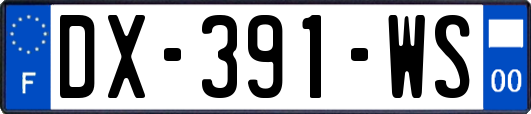 DX-391-WS