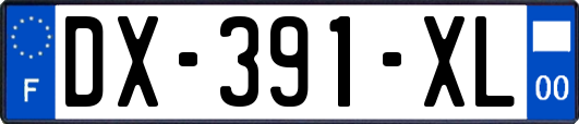 DX-391-XL