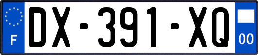 DX-391-XQ