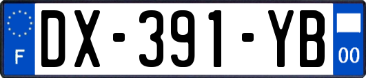 DX-391-YB
