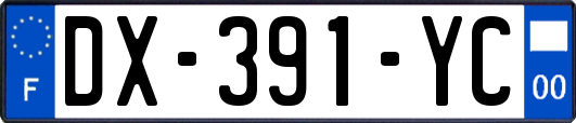DX-391-YC