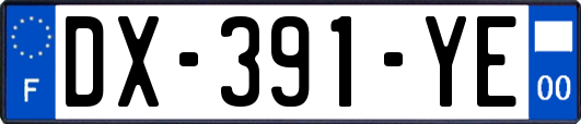 DX-391-YE