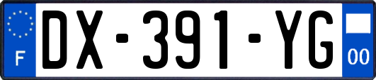 DX-391-YG