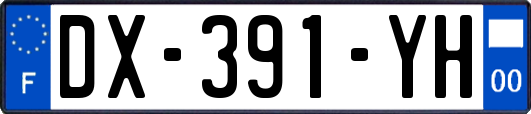 DX-391-YH