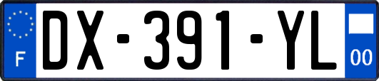 DX-391-YL