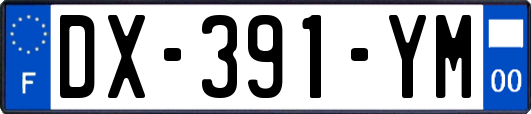 DX-391-YM