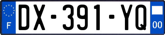 DX-391-YQ