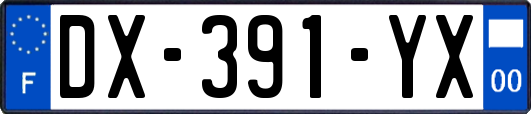 DX-391-YX