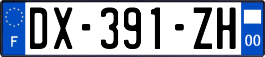 DX-391-ZH