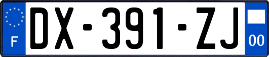 DX-391-ZJ