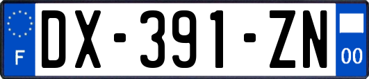 DX-391-ZN