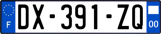 DX-391-ZQ