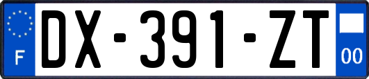 DX-391-ZT