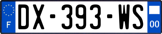 DX-393-WS