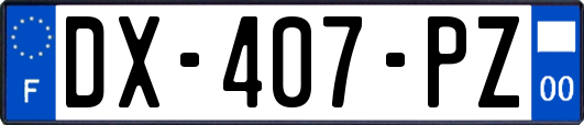 DX-407-PZ
