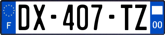 DX-407-TZ