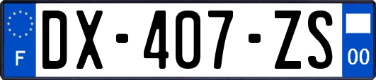 DX-407-ZS