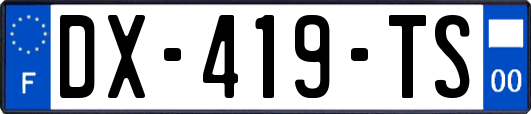 DX-419-TS