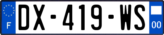 DX-419-WS