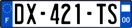DX-421-TS