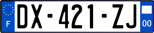 DX-421-ZJ