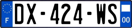 DX-424-WS