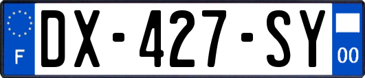 DX-427-SY