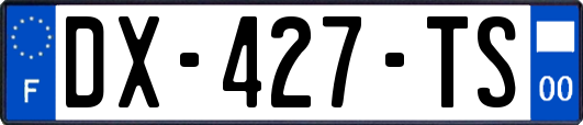 DX-427-TS