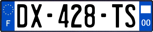 DX-428-TS
