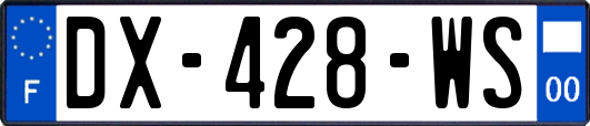 DX-428-WS