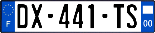 DX-441-TS