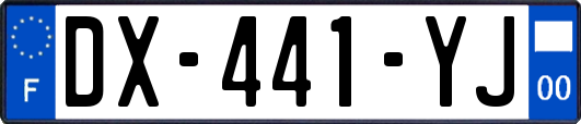 DX-441-YJ