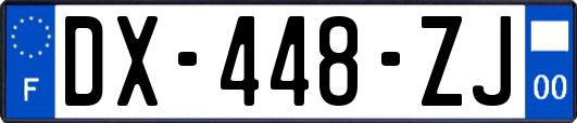 DX-448-ZJ