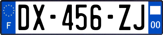 DX-456-ZJ