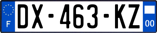 DX-463-KZ