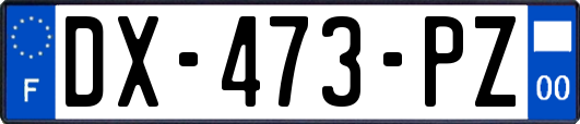 DX-473-PZ