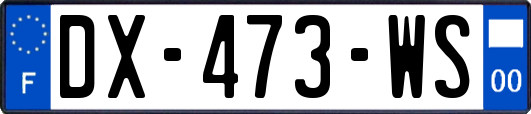 DX-473-WS