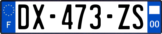 DX-473-ZS