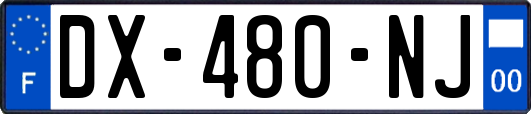 DX-480-NJ