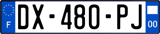 DX-480-PJ