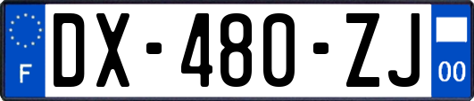 DX-480-ZJ