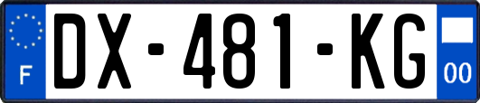 DX-481-KG