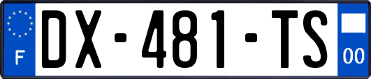 DX-481-TS