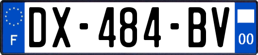 DX-484-BV