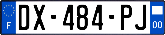 DX-484-PJ