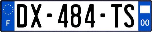 DX-484-TS