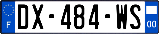 DX-484-WS