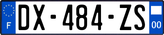 DX-484-ZS